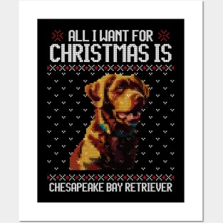 All I Want for Christmas is Chesapeake Bay Retriever - Christmas Gift for Dog Lover Posters and Art